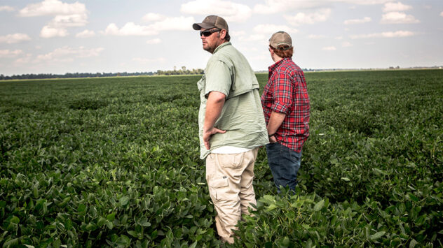 New Dicamba Drift Estimate: 1.1 Million Acres Damaged Already in 2018