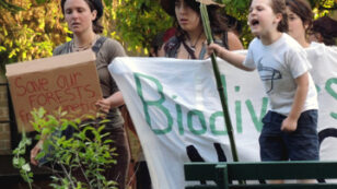 Hundreds Protest Against Genetically Engineered Trees