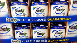 Germany to Put ‘Massive Restrictions’ on Monsanto Weedkiller