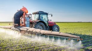 Leading Cancer Experts: 2,4-D Weed-Killer Is ‘Possibly Carcinogenic to Humans’