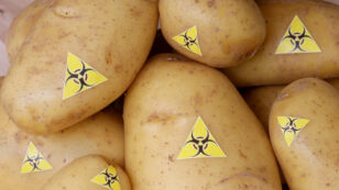 GMO Potato Creator Now Fears Its Impact on Human Health