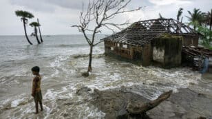 UN Strengthens Children’s Rights to Fight Climate Change in Court