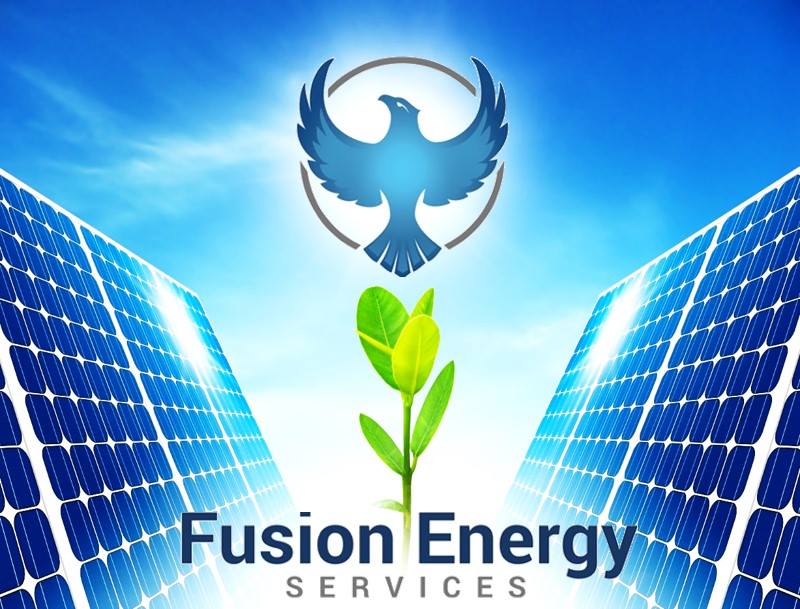 Fusion Energy Services Logo