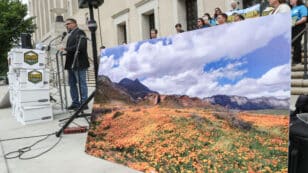 Meet the Nation’s Latest National Monuments