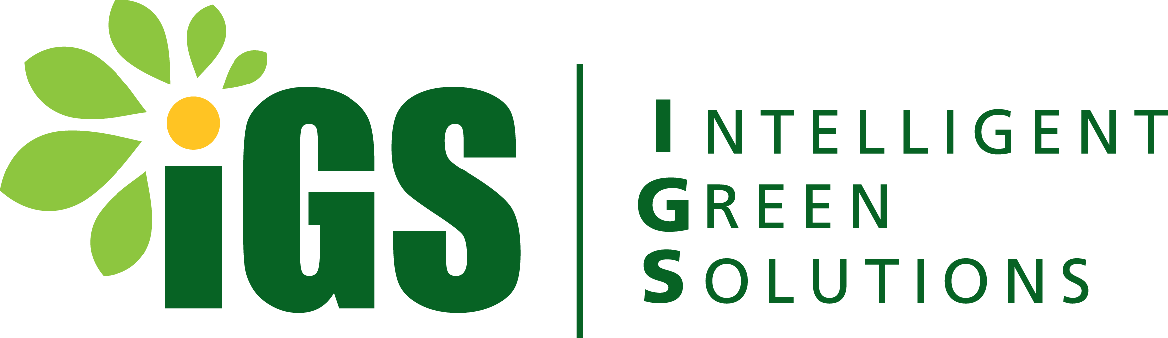 Intelligent Green Solutions (IGS) Logo