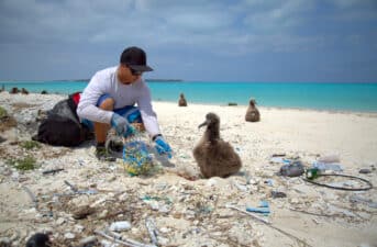 Ocean Cleanup 101: Everything You Need to Know