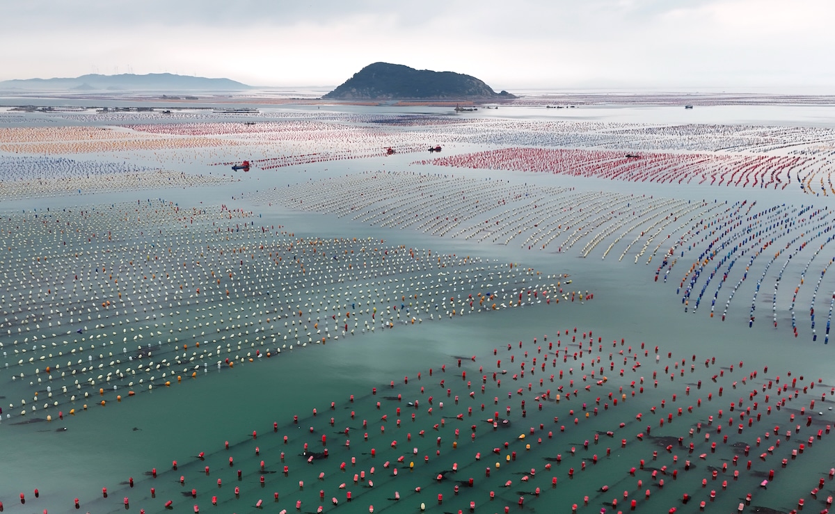 Aerial view of colorful buoys floating at an oyster farm in Shantou, Guangdong Province of China