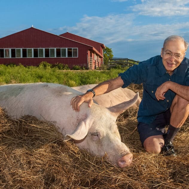 A Philosopher’s Guide to an Ethical Diet: A Conversation With Peter Singer