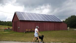 USDA Census of Agriculture Shows U.S. Losing Small Farms to Factory Farming, While Gaining in Renewable Energy Use