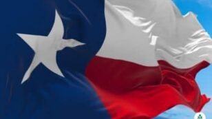 Texas Electricity Rates and Providers (May 2024)