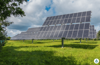 Are Solar Panels Worth It for Your Home? (2024 Buyer’s Guide)